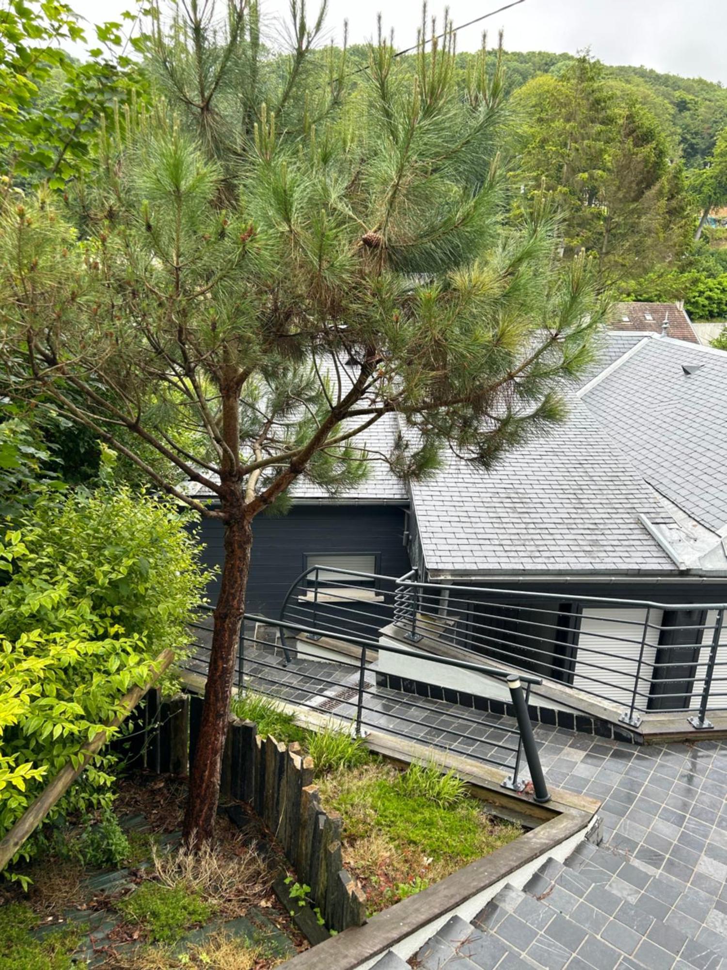 Villa Des Chardons Yport Bagian luar foto